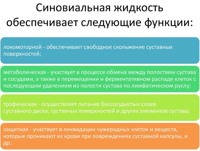 Упражнения для коленных суставов по Бубновскому, Попову, Евдокименко при артрозе, артрите, гонартрозе для снижения боли