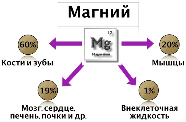 Велвумен (Wellwoman) витамины для женщин. Отзывы, инструкция, состав, цена