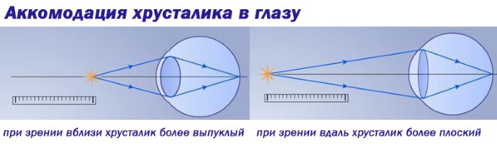 Визотроник для глаз. Отзывы, что он делает, где купить, цена процедуры