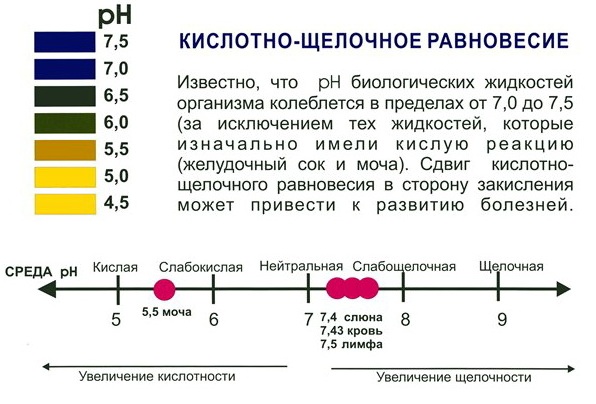 Закисление организма. Симптомы, лечение, что это такое, миф или реальность, польза, вред