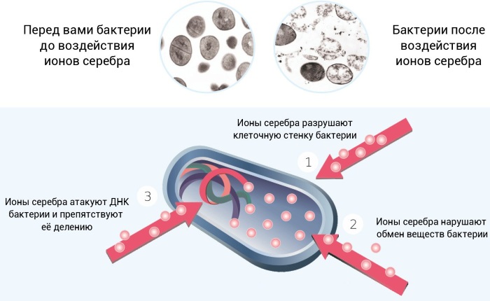 Аргосульфан (Argosulfan) мазь. Для чего применяется, инструкция, аналоги, цена