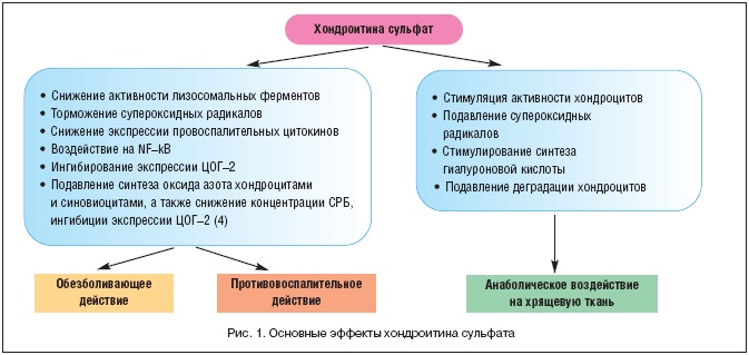 Артелар (Artelar) таблетки, мазь, гель для суставов. Инструкция по применению, цена, аналоги