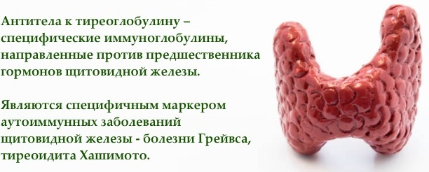 АТ-ТГ сильно повышен. Что это значит, симптомы, причины, лечение