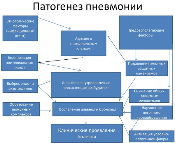 Атипичная пневмония. Симптомы у детей, взрослых, лечение, заразна или нет