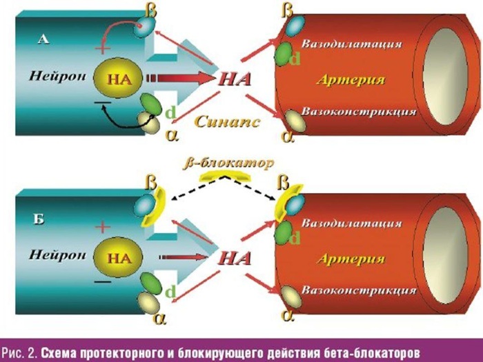 Гипертония 1 степени. Симптомы и лечение, препараты