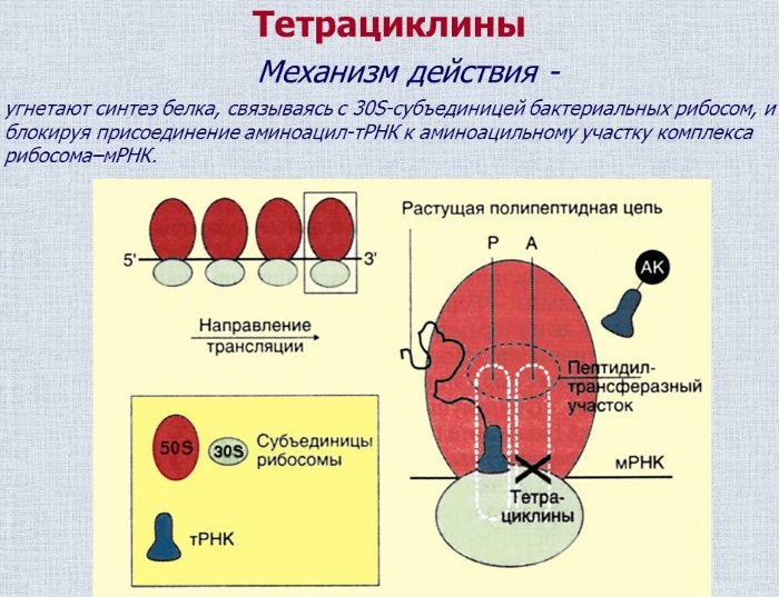 Доксициклин (Doxycycline) при укусе клеща. Инструкция по применению, аналоги, показания к применению, как принимать