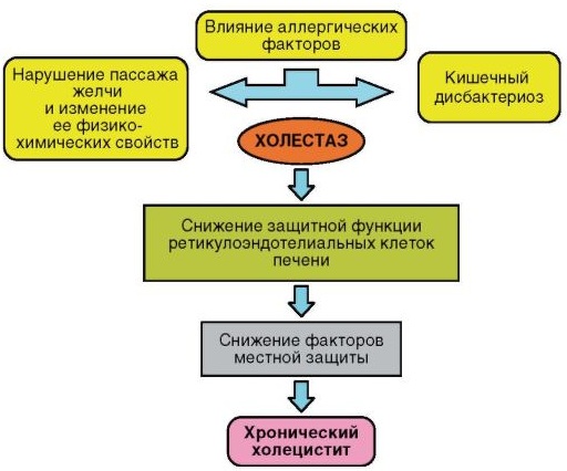 Хронический холецистит. Лечение, препараты, симптомы, рекомендации