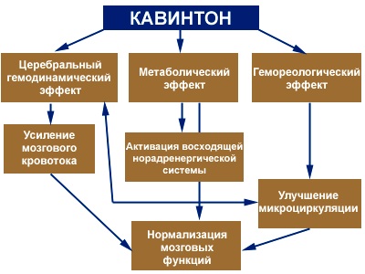 Кавинтон (Cavinton). Отзывы пациентов принимавших препарат, инструкция по применению, показания, цена