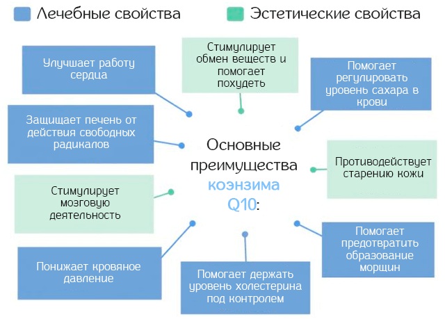 Как укрепить, восстановить сосуды в организме человека