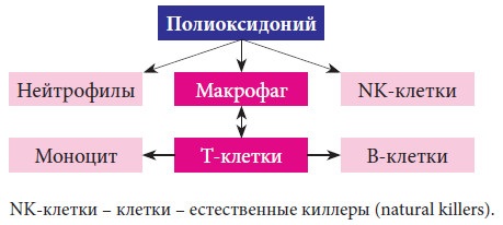 Полиоксидоний (Polyoxidonium) для детей. Отзывы, инструкция, аналоги, цена