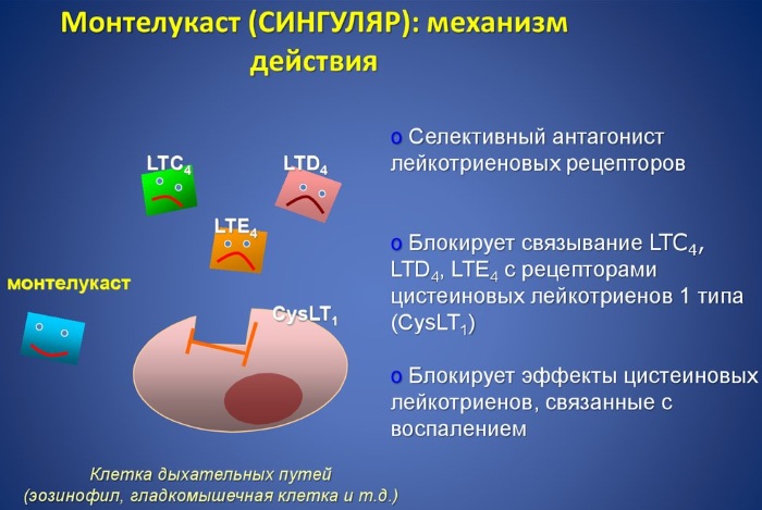 Монтелукаст (Montelukast) для детей. Отзывы, инструкция, дозировка, цена