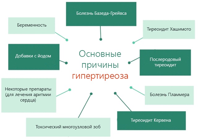 Средний объем тромбоцитов (MPV) повышен у взрослого, ребенка. Что значит, как понизить