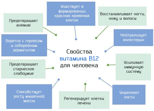 Цианокобаламин в таблетках. Инструкция по применению, цена, отзывы