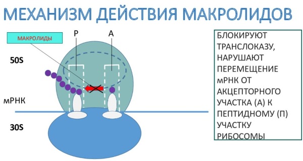 Вильпрафен (Wilprafen) суспензия для детей. Инструкция по применению, цена