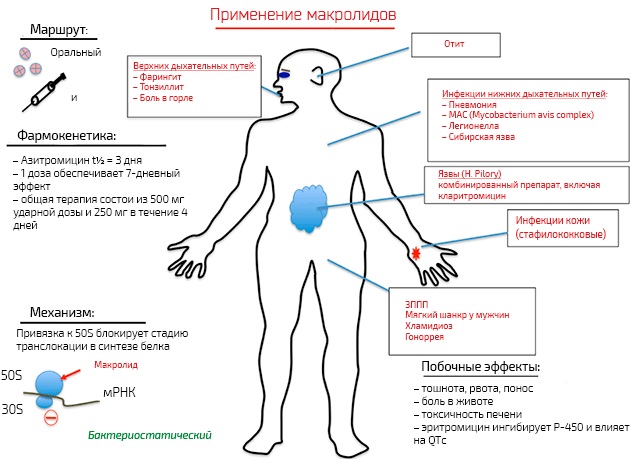 Вильпрафен (Wilprafen) суспензия для детей. Инструкция по применению, цена