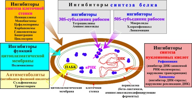 Антибиотики при гинекологических воспалениях: таблетки, в инъекциях, капельницы, свечи. Названия, рейтинг