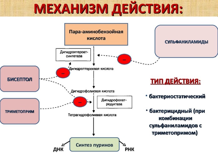 Бисептол (Biseptol). Показания к применению, инструкция, аналоги