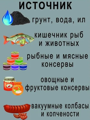 Ботулизм у взрослого. Симптомы, от каких продуктов возникает, лечение, профилактика, клинические рекомендации