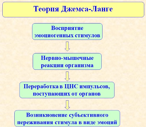 Эмоции в психологии. Классификация, что это такое, виды, функции, характеристика, как управлять, сдерживать