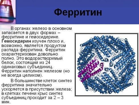 Феррум Лек (Ferrum Lek) таблетки. Отзывы, инструкция по применению, аналоги, цена