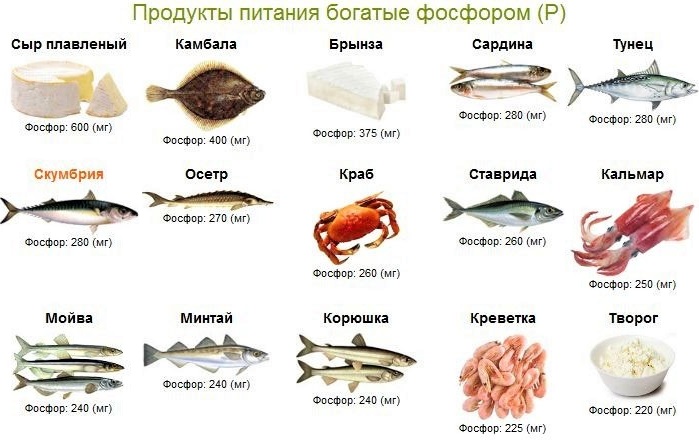 Фосфор в продуктах питания. Таблица, где больше всего, суточная норма, польза, вред