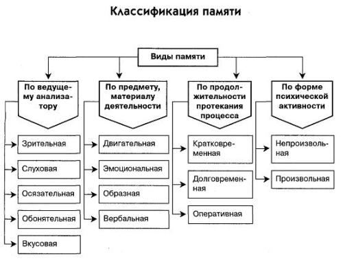 Фотографическая память. Как развить, что это такое, упражнения, как работает