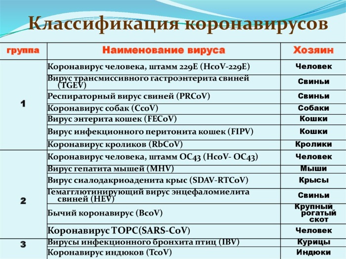 Короновирусная инфекция у человека. Что это такое, симптомы, лечение