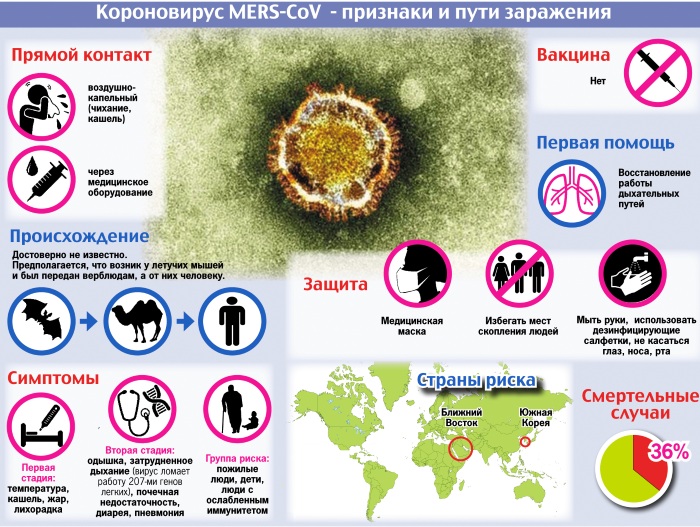 Короновирусная инфекция у человека. Что это такое, симптомы, лечение