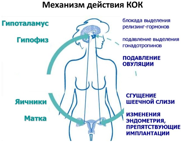 Лактинет (Lactinette). Отзывы кормящих мам, инструкция по применению, аналоги