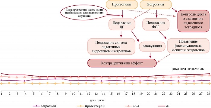 Линдинет 30 (Lindynette 30). Отзывы женщин, инструкция по применению, аналоги