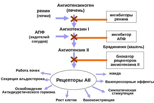 Есть ли синдром отмены у лозартана