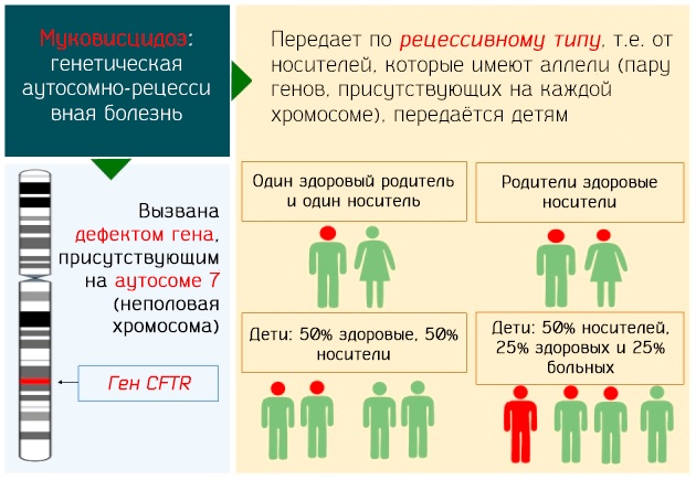 Пертуссин (Pertussinum) сироп для детей, взрослым. Инструкция по применению, цена