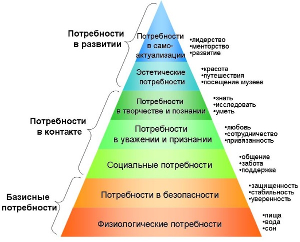 Направленность личности в психологии. Что это такое, структура, формы, виды