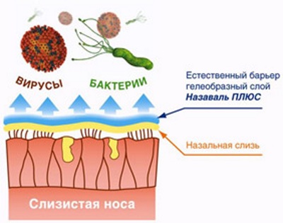 Назаваль Плюс для детей. Отзывы, инструкция по применению, цена