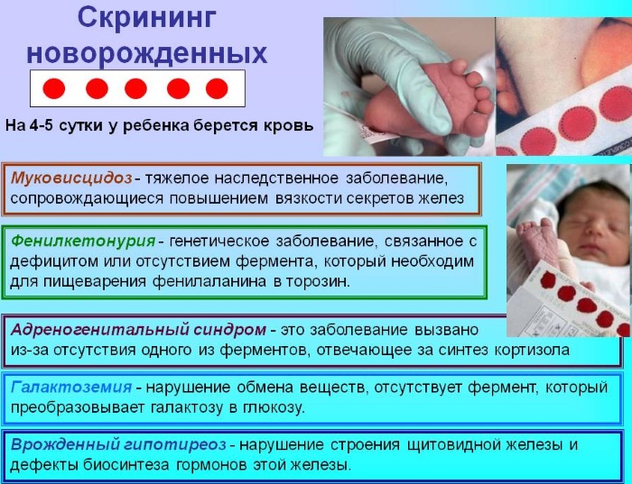 Орфанные заболевания. Что это такое, перечень, классификация, лечение