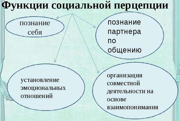 Перцепция в психологии. Что это такое, понятие, механизмы, типы, эффекты, функции