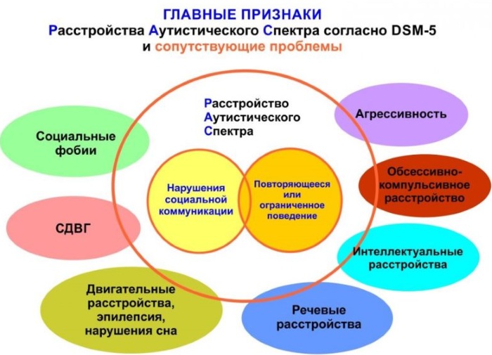 Расстройства аутистического спектра (РАС). Что это, чем характеризуется, классификация, симптомы, лечение