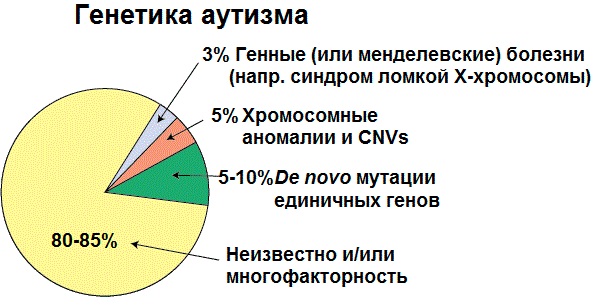 Расстройства аутистического спектра (РАС). Что это, чем характеризуется, классификация, симптомы, лечение