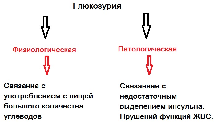 Сахар в моче у женщины. Причины, что это значит при беременности, диабете, лечение