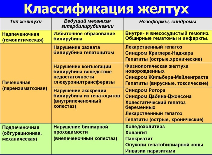 Синдром Жильбера. Симптомы и лечение, чем опасен, диагностика, клинические рекомендации