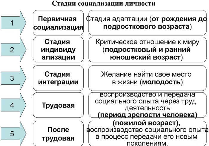 Социализация в психологии. Что это такое, этапы, факторы, стадии, виды, механизмы, функции