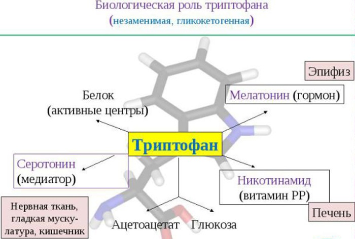 Триптофан Эвалар. Отзывы пациентов принимавших препарат, инструкция по применению, аналоги, состав