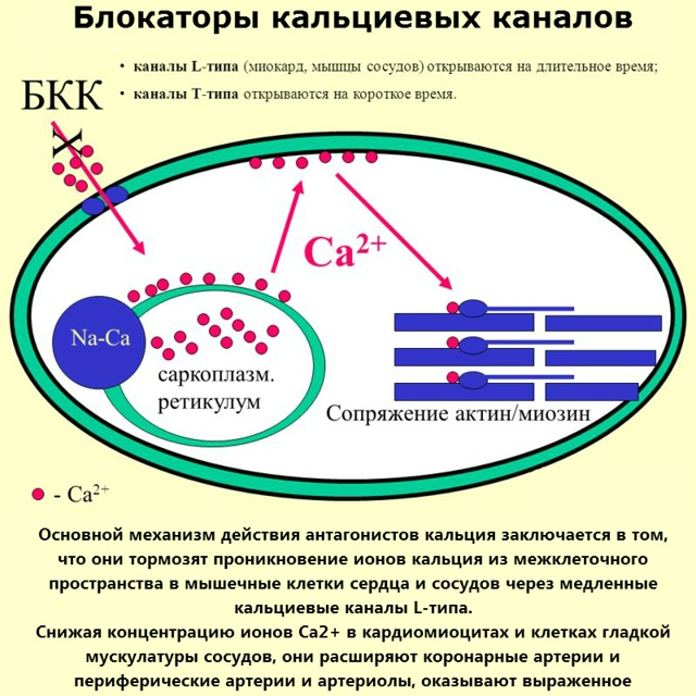 Циннаризин (Cinnarizin) таблетки. Цена, инструкция по применению, аналоги, от чего помогают