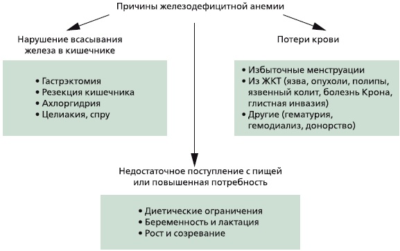 Цветной показатель крови. Норма у женщин, мужчин, детей, о чем говорит пониженный, повышенный