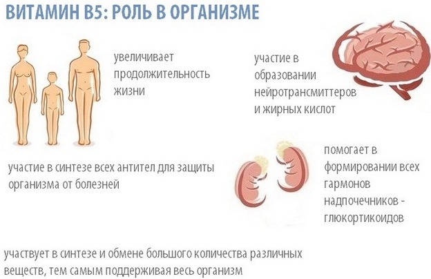 Витамин в5 презентация