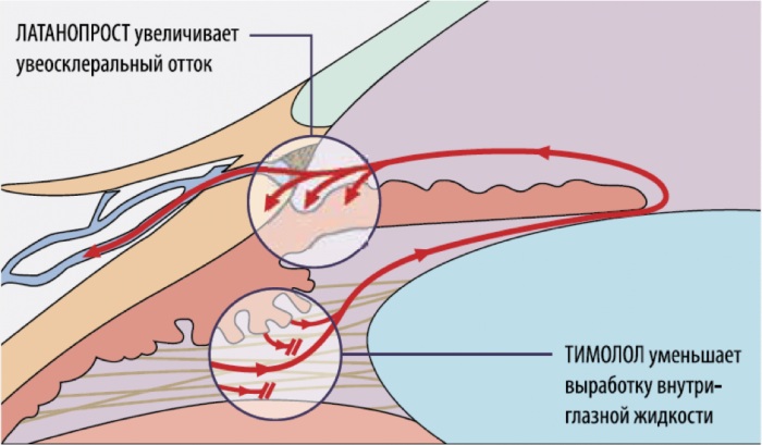 Xalatan (Ксалатан) глазные капли. Инструкция по применению, цена, аналоги