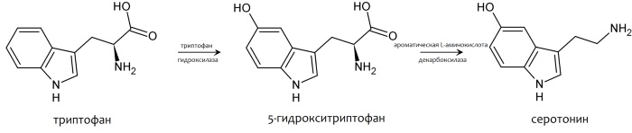 5-Гидрокситриптофан (5-HTP). Что это такое, инструкция по применению