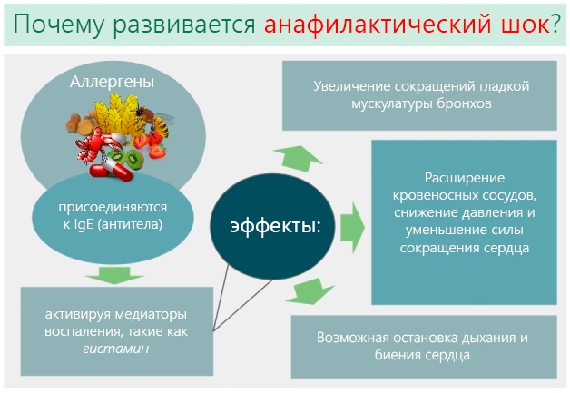 Преднизолон при анафилактическом шоке. Дозы введения, механизм действия