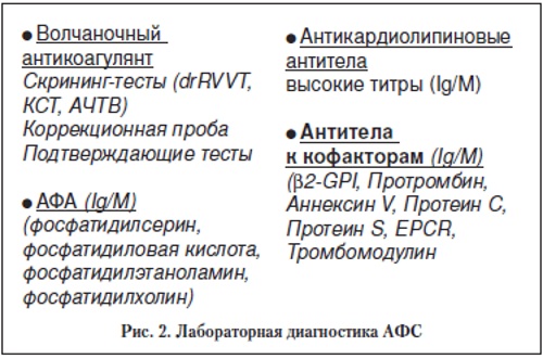 Антифосфолипидные антитела. Анализ, гемотест, что это такое, что показывает, подготовка к анализу