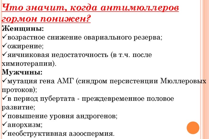 Антимюллеров гормон. Как повысить уровень народными средствами, витаминами у женщин для зачатия